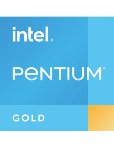 Intel PENTIUM Gold G6405 TRAY 2x4,1...