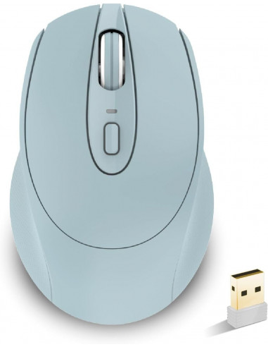 Souris sans fil mini bleue SANS PILES...